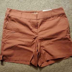 Nwt loft shorts sz 12